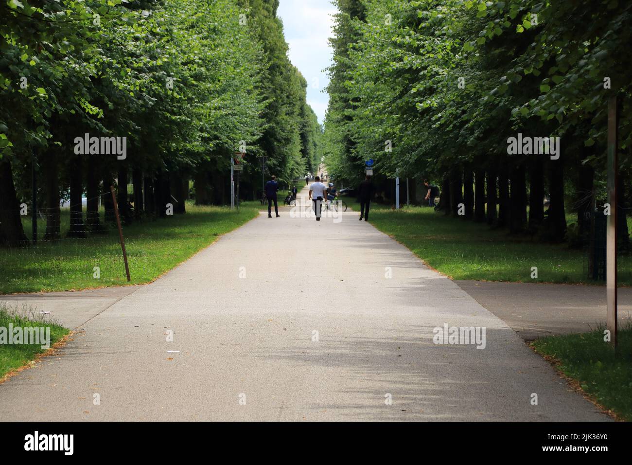 Avenue dans la ville de Ludwigsburg mène loin du baroque florissant Banque D'Images