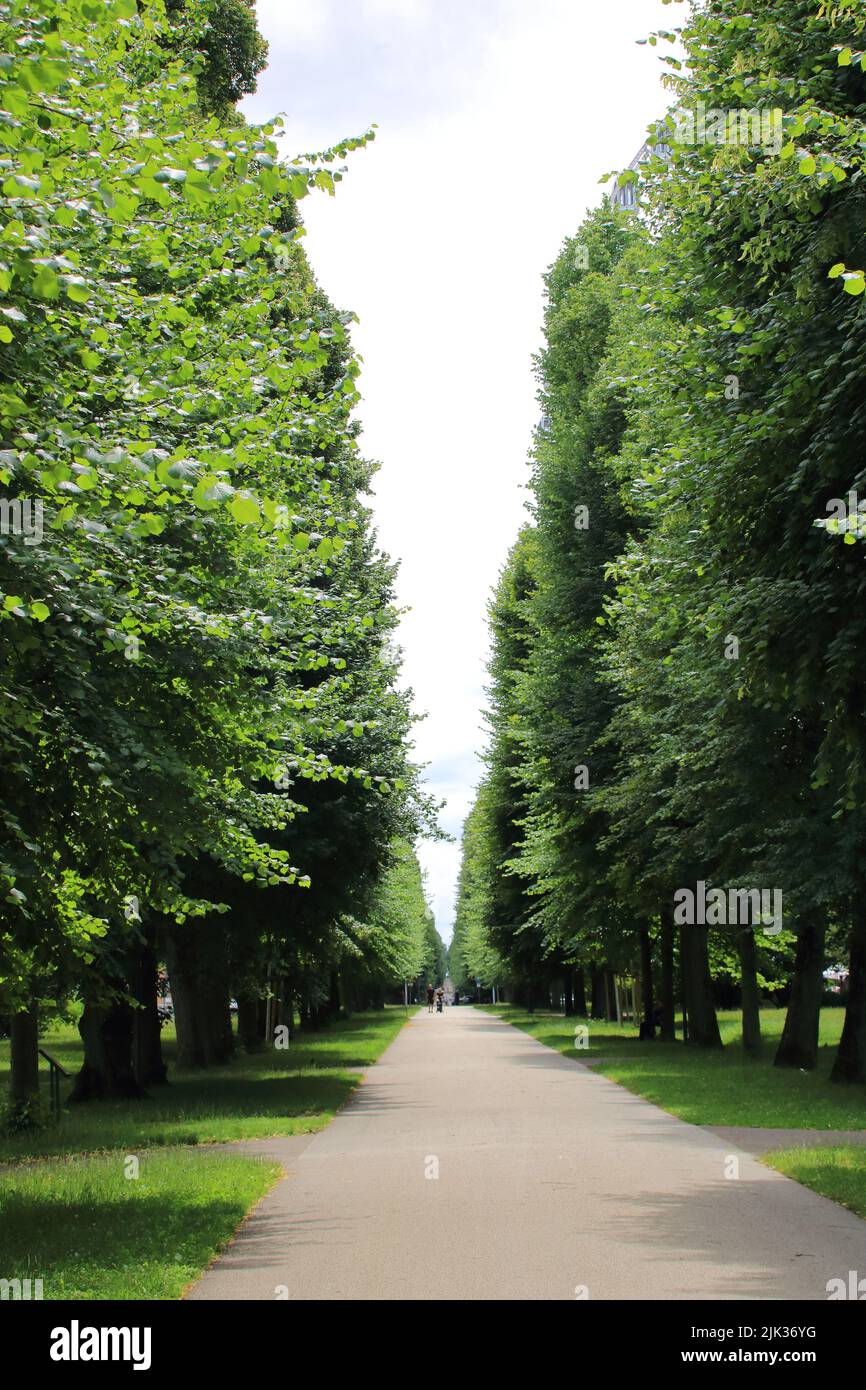 Avenue dans la ville de Ludwigsburg mène loin du baroque florissant Banque D'Images