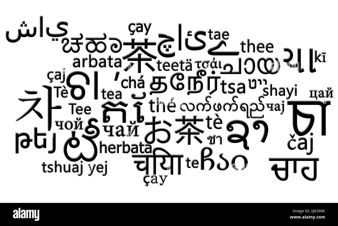 « Thé » traduit dans différentes langues et différents scripts étrangers Banque D'Images