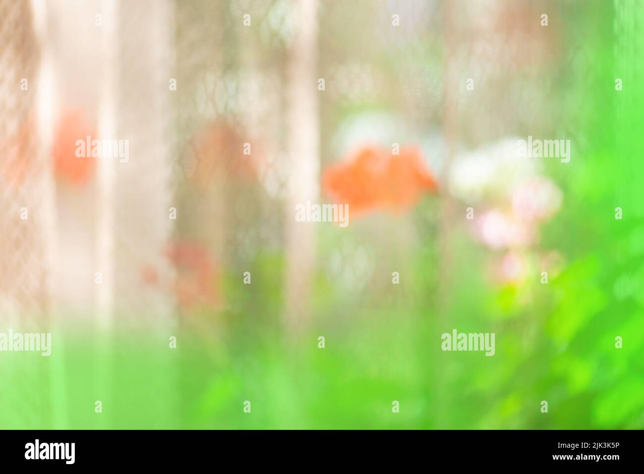 Feuilles et fleurs bokeh pour le fond de la nature. Flou incroyable et champ de mise au point doux des fleurs dans le jardin. Banque D'Images