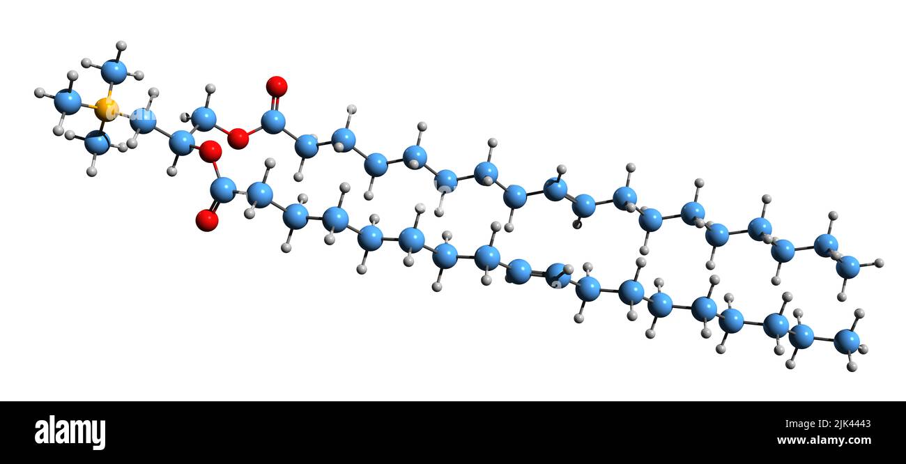 3D image de formule squelettique dioléoyl-3-triméthylammonium propane - structure chimique moléculaire du surfactant cationique isolé sur fond blanc Banque D'Images