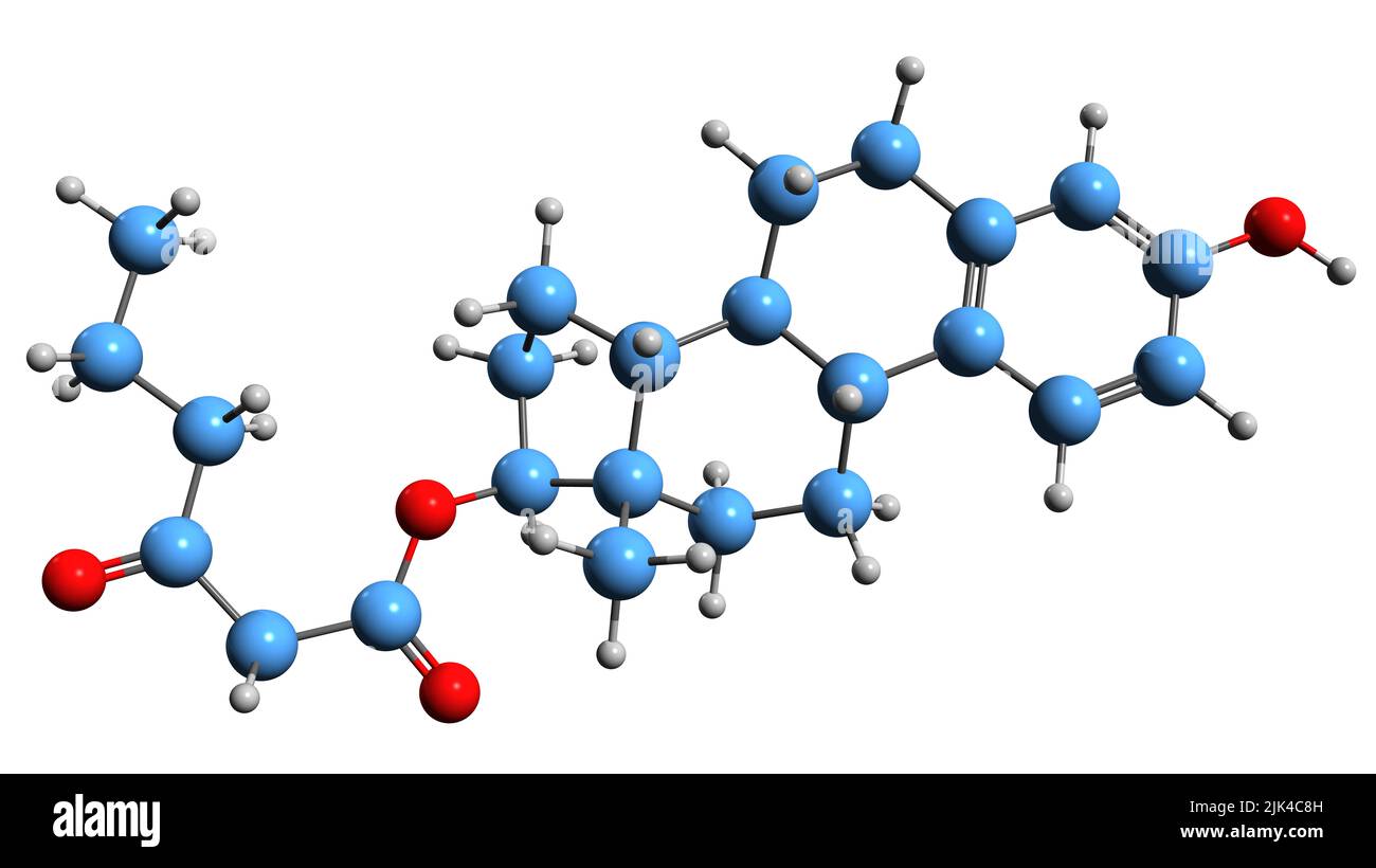 3D image de la formule squelettique du butyrylacétate d'Estradiol - structure chimique moléculaire du médicament œstrogène isolé sur fond blanc Banque D'Images