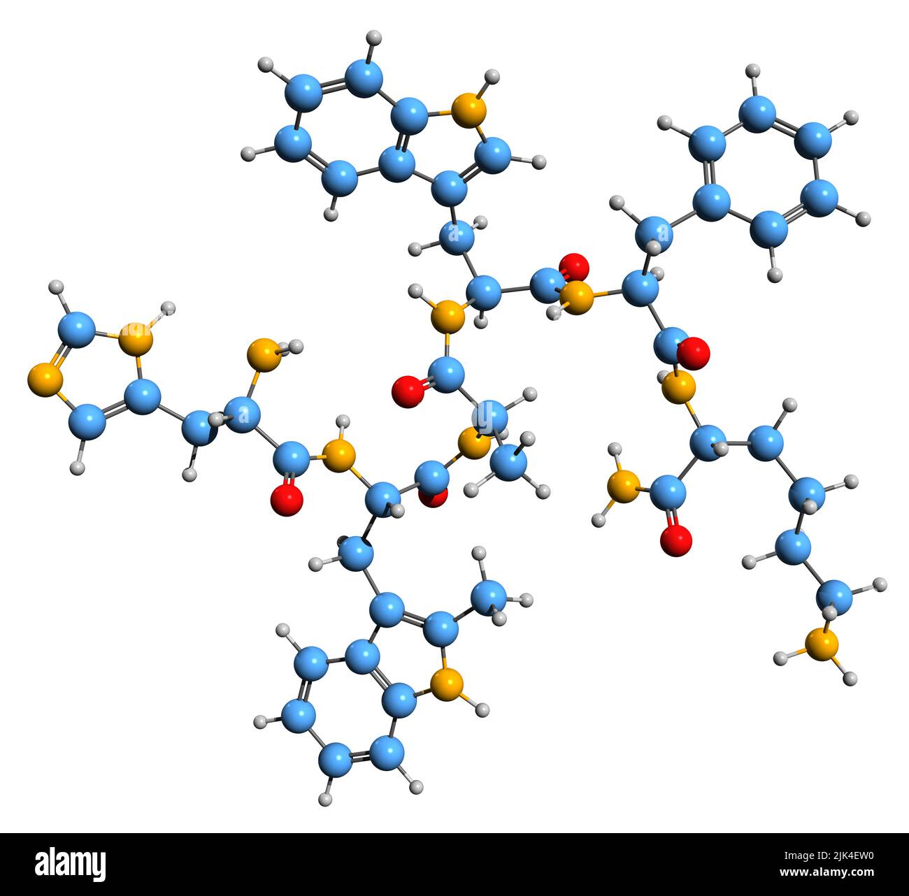 3D image de la formule squelettique de l'Examorelin - structure chimique moléculaire de l'agoniste GHSR isolé sur fond blanc Banque D'Images 3D image de la formule squelettique de l'Examorelin - structure chimique moléculaire de l'agoniste GHSR isolé sur fond blanc Banque D'Images