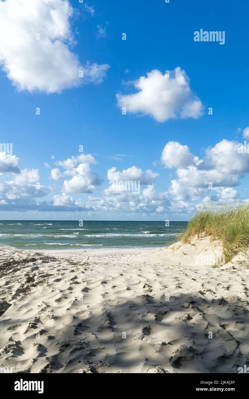 Entrée à une plage de sable à travers les dunes, mer Baltique près de Łeba, Pologne, Europe. Été, petites vagues sur l'eau, ciel bleu avec des nuages blancs. Banque D'Images