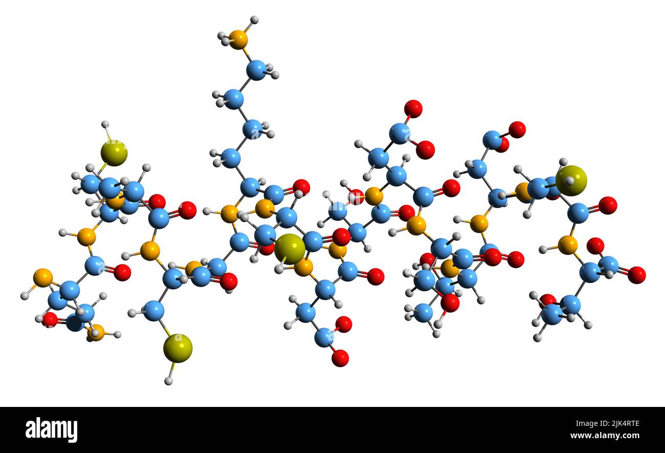 3D image de la formule osseuse de la sous-unité bêta de l'hormone de stimulation de la follicule - structure chimique moléculaire de la FSH-B isolée sur fond blanc Banque D'Images