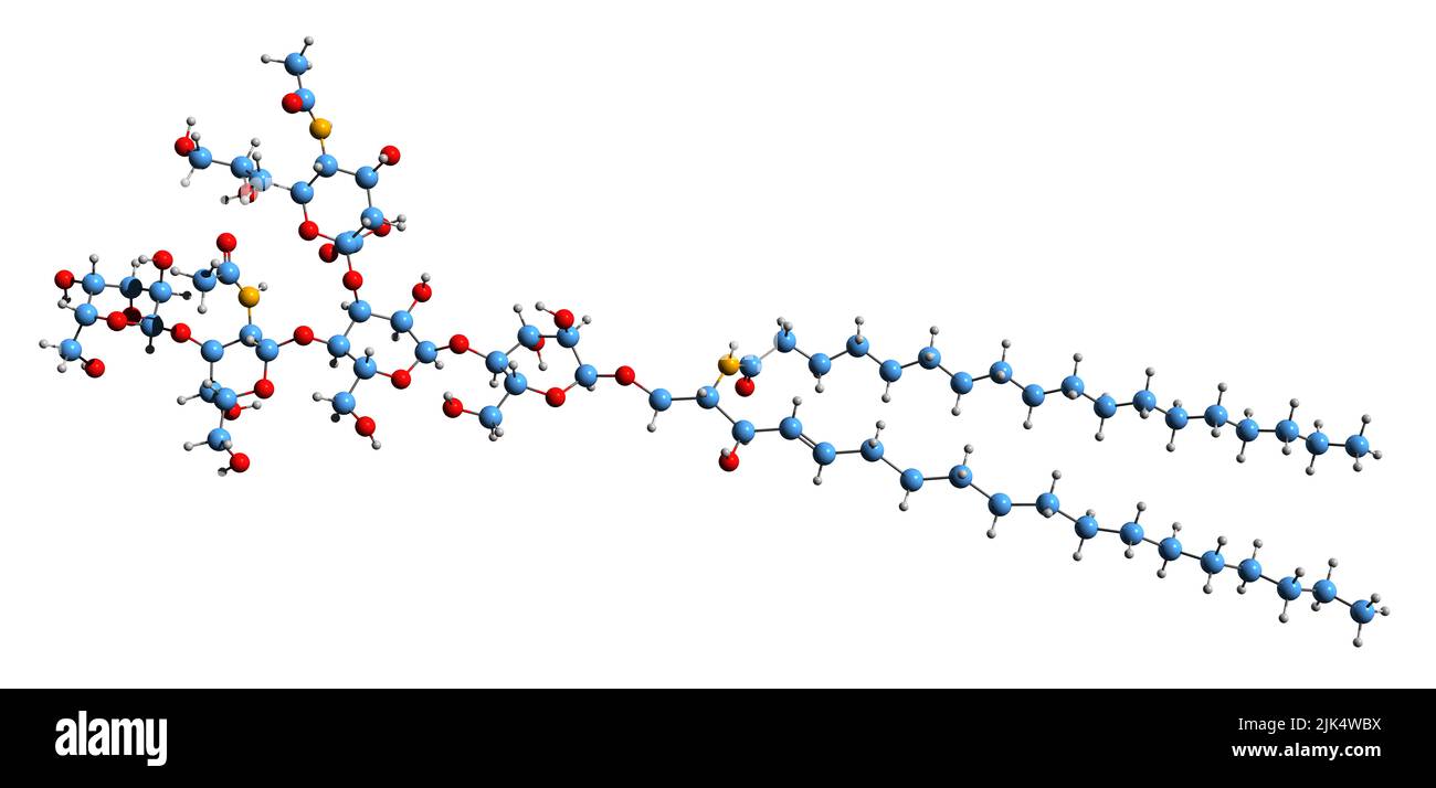3D image de la formule osseuse monosialodihexosylganglioside - structure chimique moléculaire de GM3 isolée sur fond blanc Banque D'Images