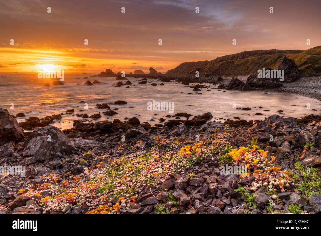 Fleurs de grès coloré et coucher de soleil sur les eaux de la côte du Pacifique à St. Goerge point, Crescent City, CA. Banque D'Images