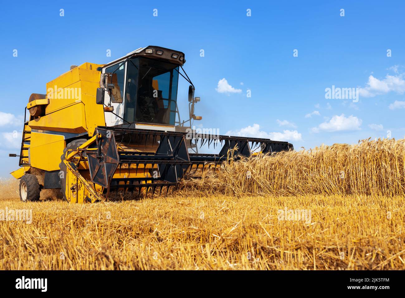 moissonneuse-batteuse dans un champ de blé mûr sous ciel bleu Banque D'Images