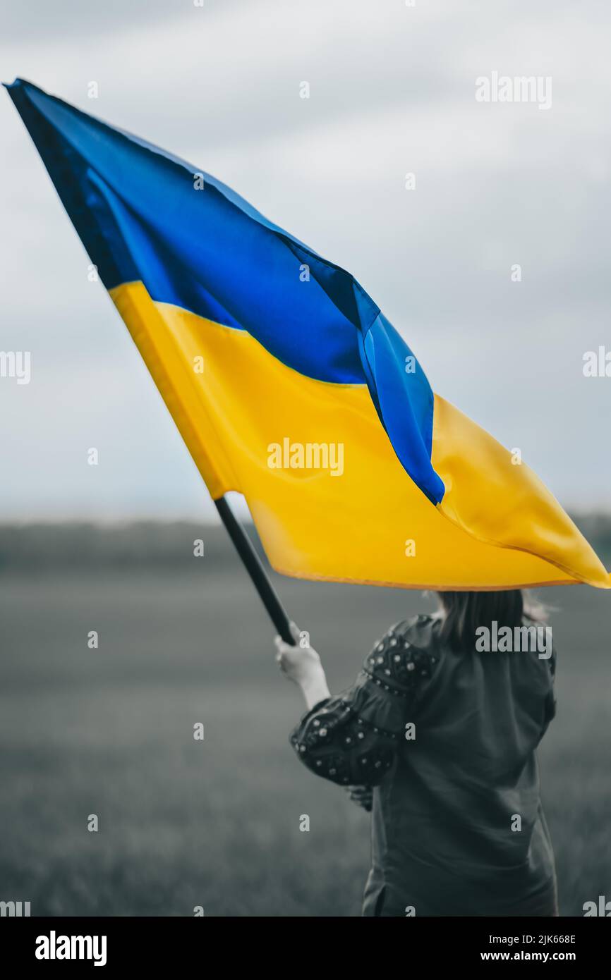 Belle femme ukrainienne avec drapeau national sur fond de champ vert. Jeune femme en rouge broderie vyshyvanka. Ukraine, indépendance, liberté Banque D'Images