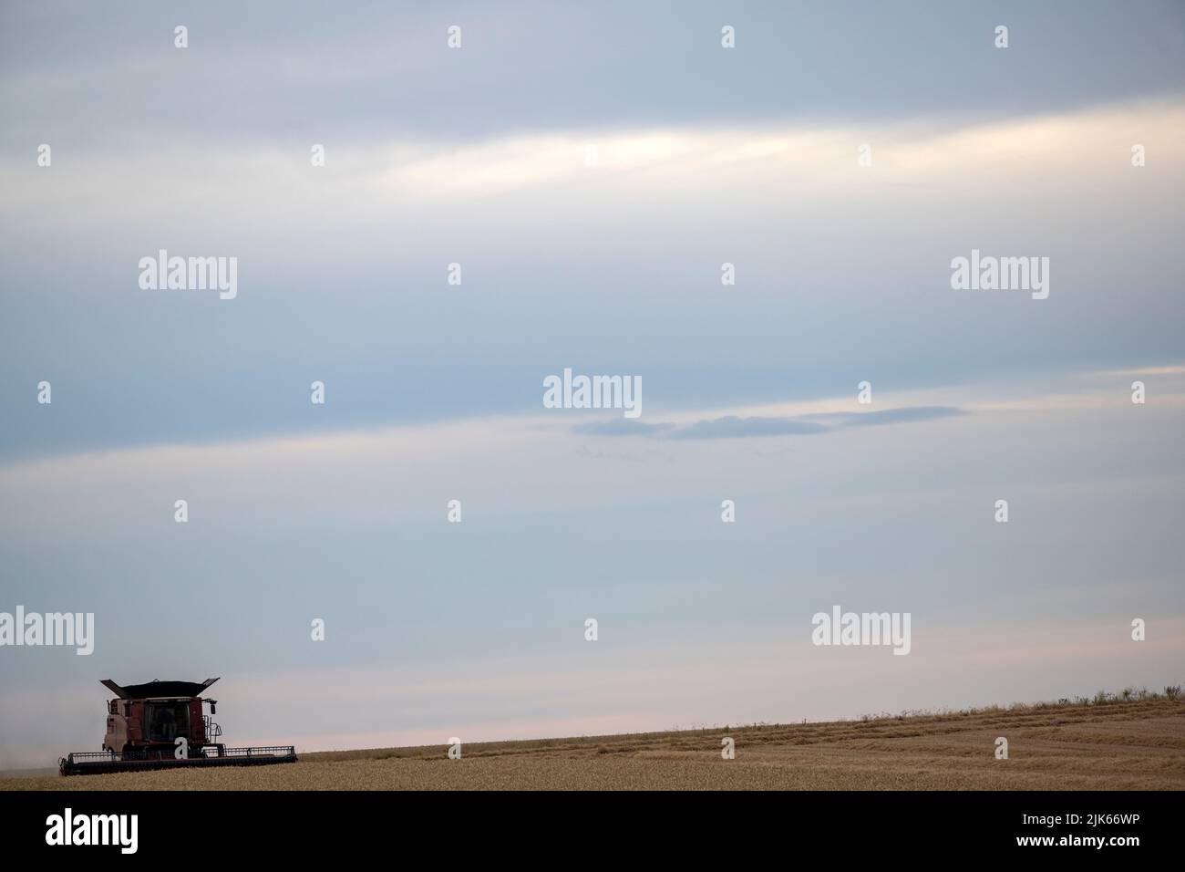 Case 7250 moissonneuse-batteuse Bawdsey Suffolk Royaume-Uni Banque D'Images