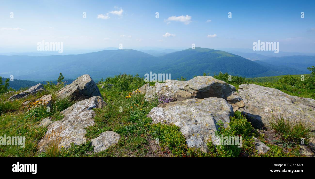 prés alpins carpaliens dans la lumière du soir. magnifique paysage de montagne avec des pierres au milieu de l'herbe, des arbres sur les collines et des vallées profondes. magnifique vi Banque D'Images