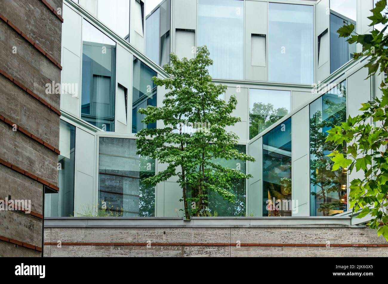 Münster, Allemagne, 29 juillet 2022: Petit arbre poussant dans un patio dans la résidence partie du réaménagement urbain de Stubengasse Banque D'Images