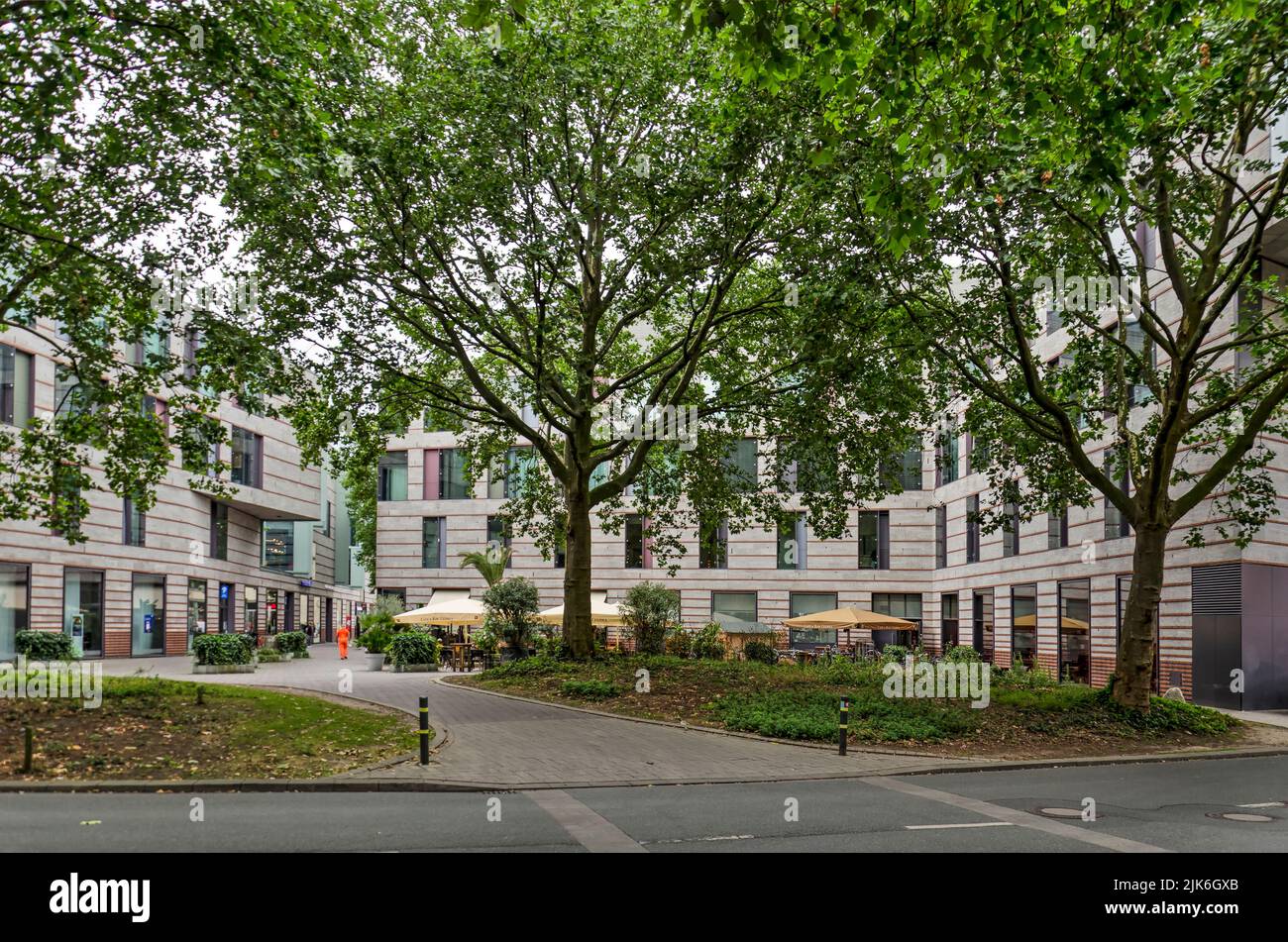 Münster, Allemagne, 29 juillet 2022: Grands arbres qui ont été préservés dans la zone du réaménagement urbain de Stubengasse Banque D'Images