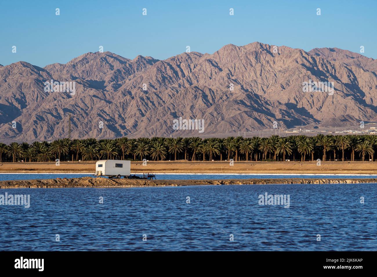 Eilat ville montagnes à la lumière du jour avec des palmiers Banque D'Images