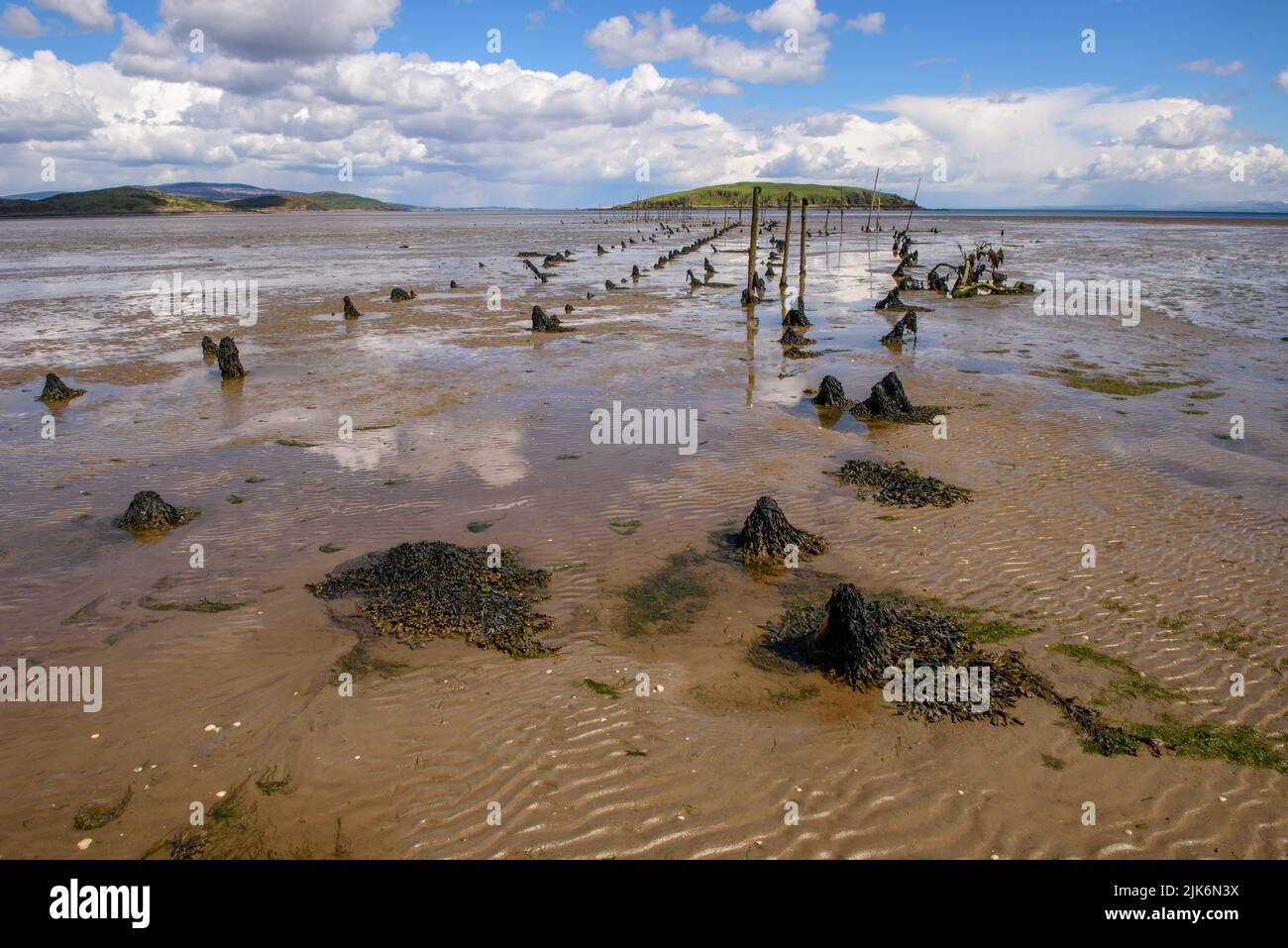 Restes de filets de pêche au saumon anciens dans la baie d'Auchencairn, près de Kirkcudbright, à Dumfries et Galloway Banque D'Images
