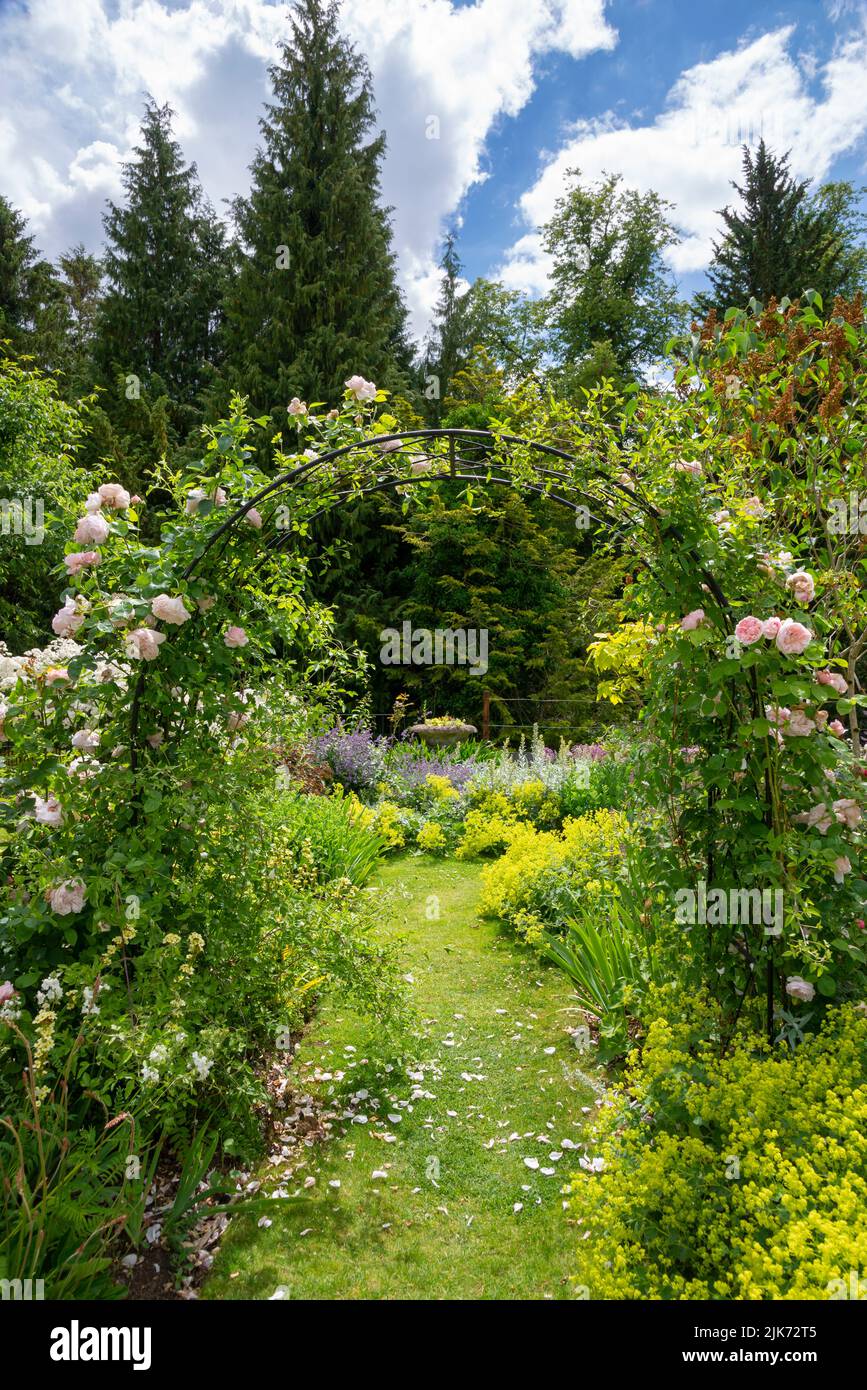 Plantation d'été dans les jardins de Thornbridge Hall près de Bakewell, Peak District, Derbyshire, Angleterre. Banque D'Images