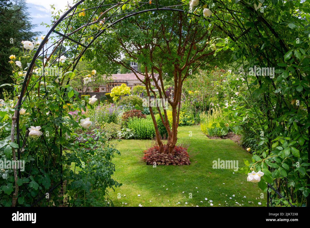 Plantation d'été dans les jardins de Thornbridge Hall près de Bakewell, Peak District, Derbyshire, Angleterre. Banque D'Images
