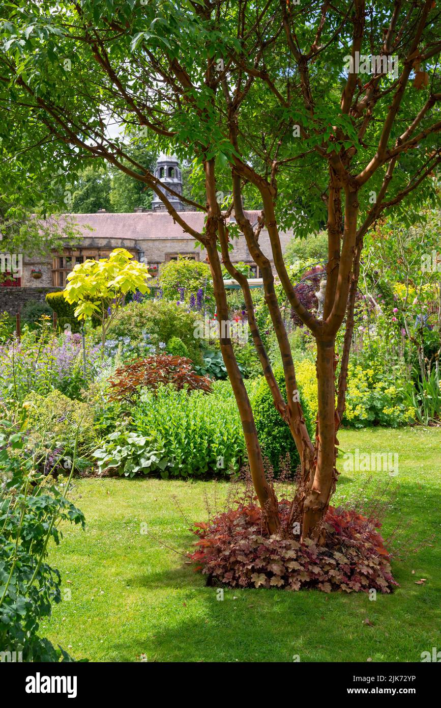 Plantation d'été dans les jardins de Thornbridge Hall près de Bakewell, Peak District, Derbyshire, Angleterre. Banque D'Images