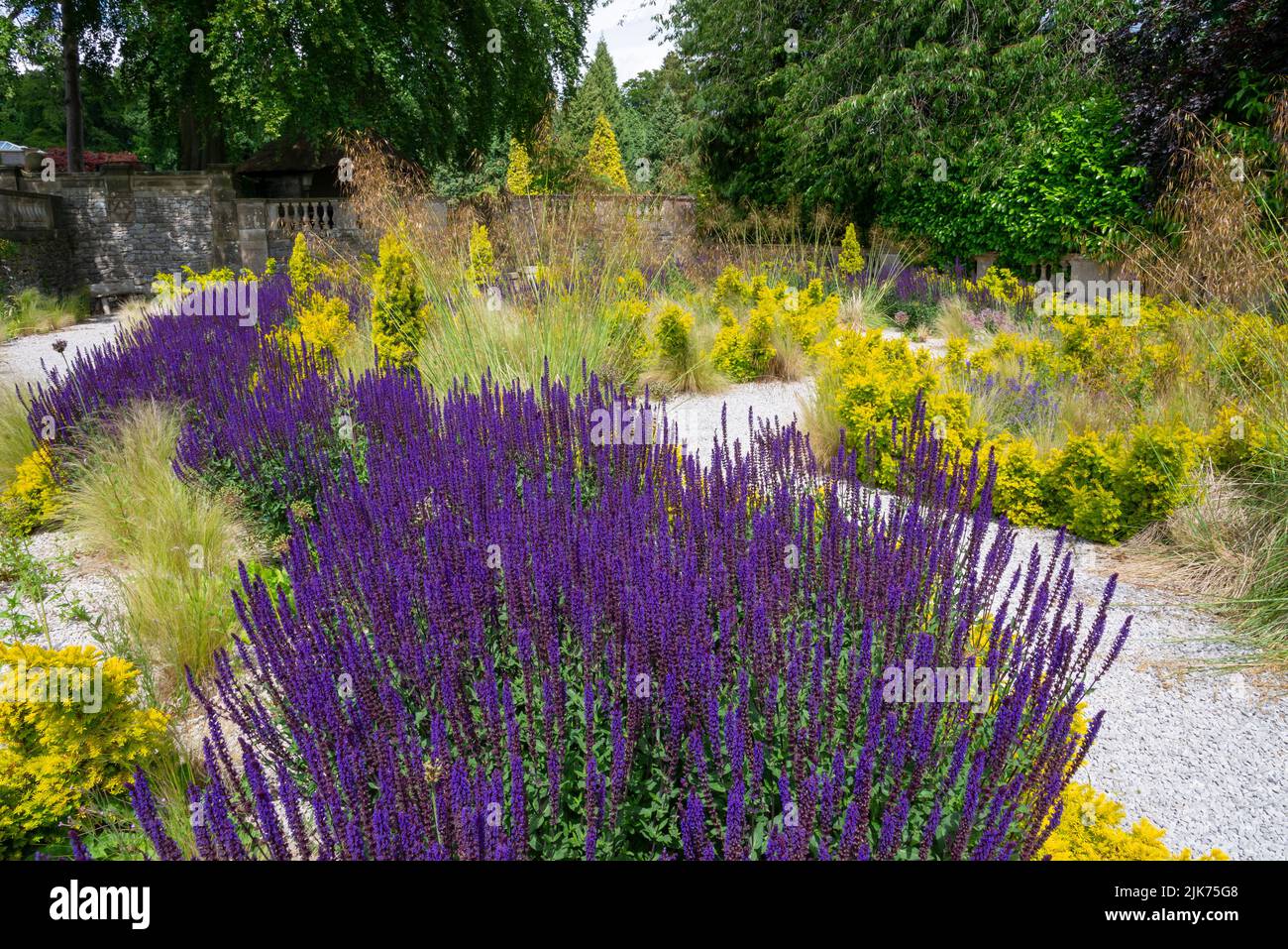 Jardin de gravier sec dans les jardins de Thornbridge Hall près de Bakewell, Peak District, Derbyshire, Angleterre. Banque D'Images
