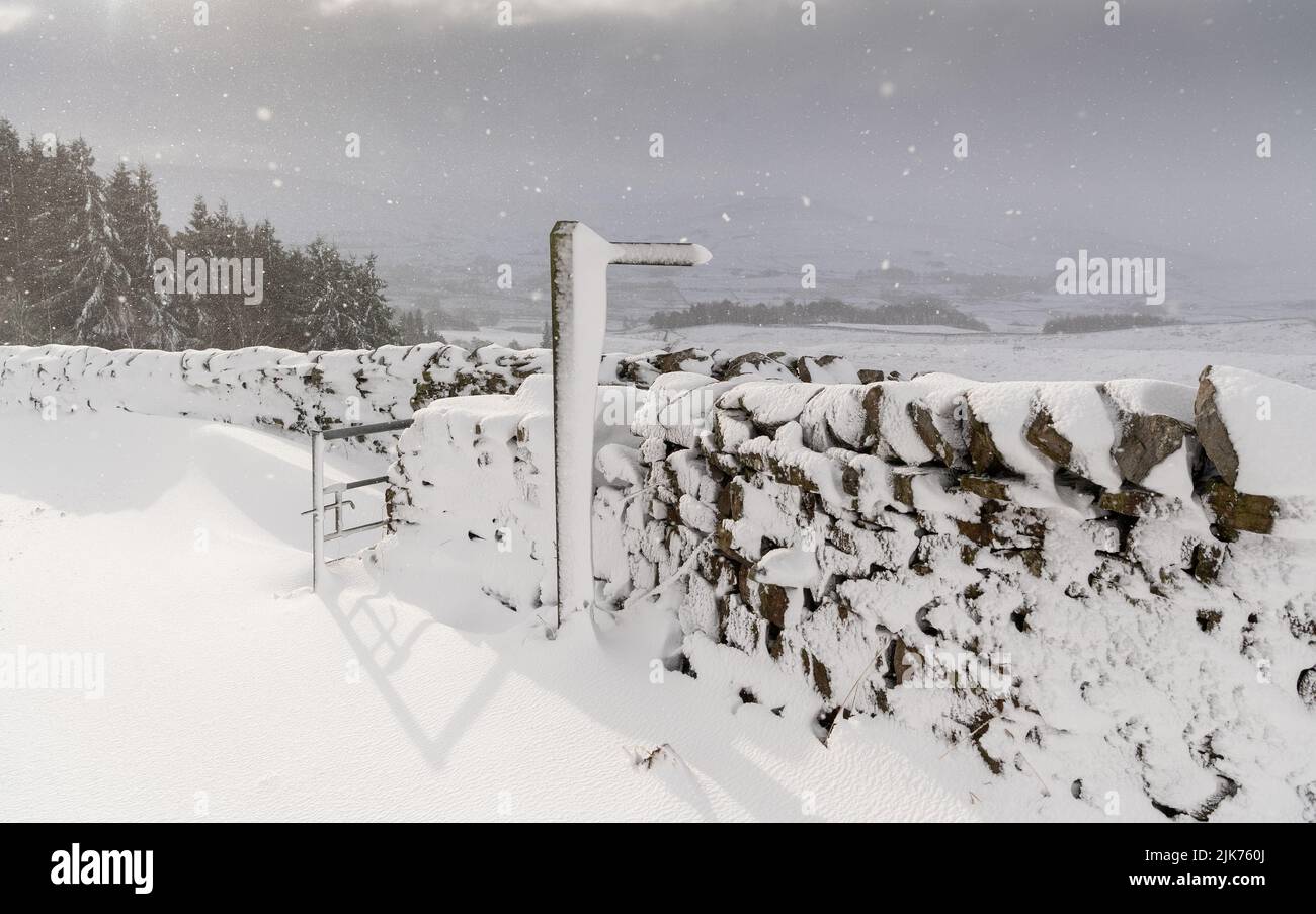 Murs de Drystone et panneaux de sentier couverts de neige dérivante, Wensleydale, North Yorkshire, Royaume-Uni. Banque D'Images