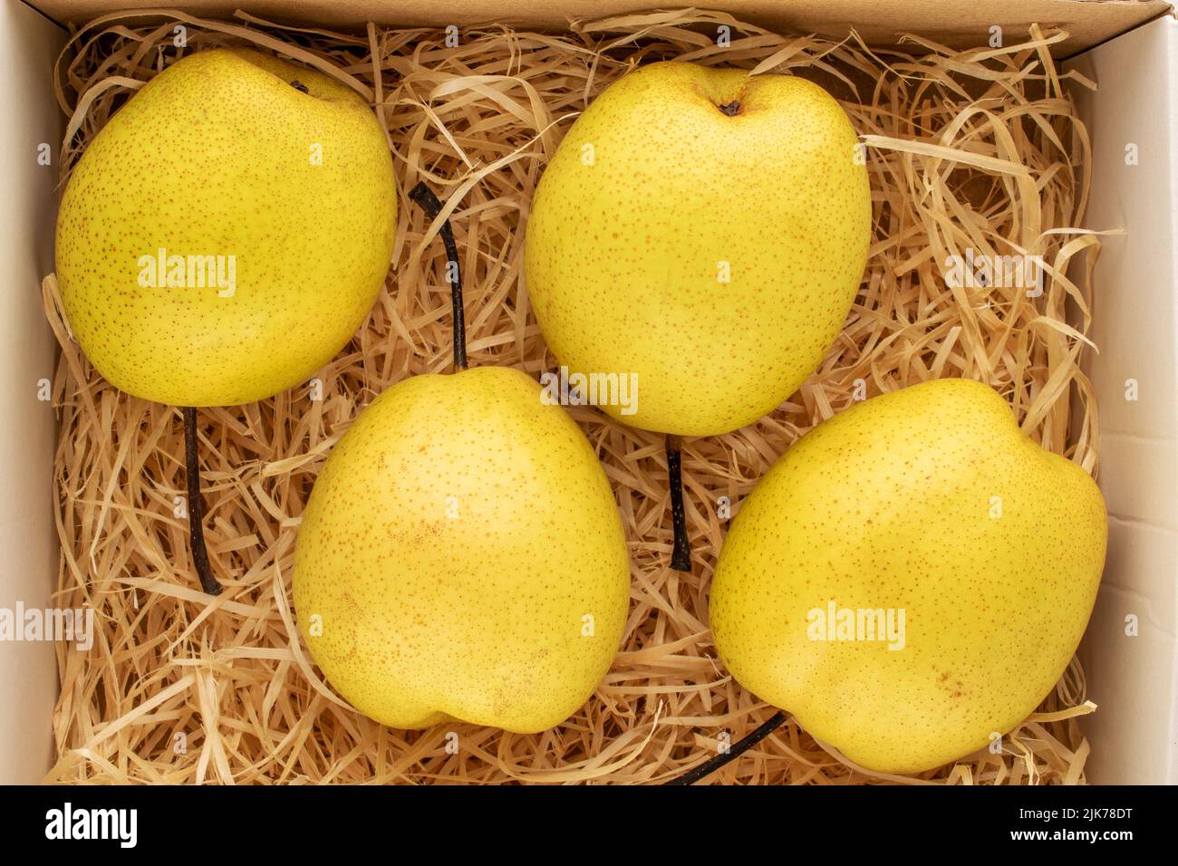 Quatre poires jaune vif dans une boîte avec copeaux de bois, vue rapprochée, vue de dessus. Banque D'Images