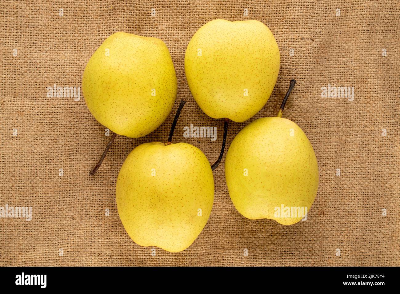 Quatre poires jaunes douces et lumineuses en toile de jute, vue rapprochée, vue du dessus. Banque D'Images
