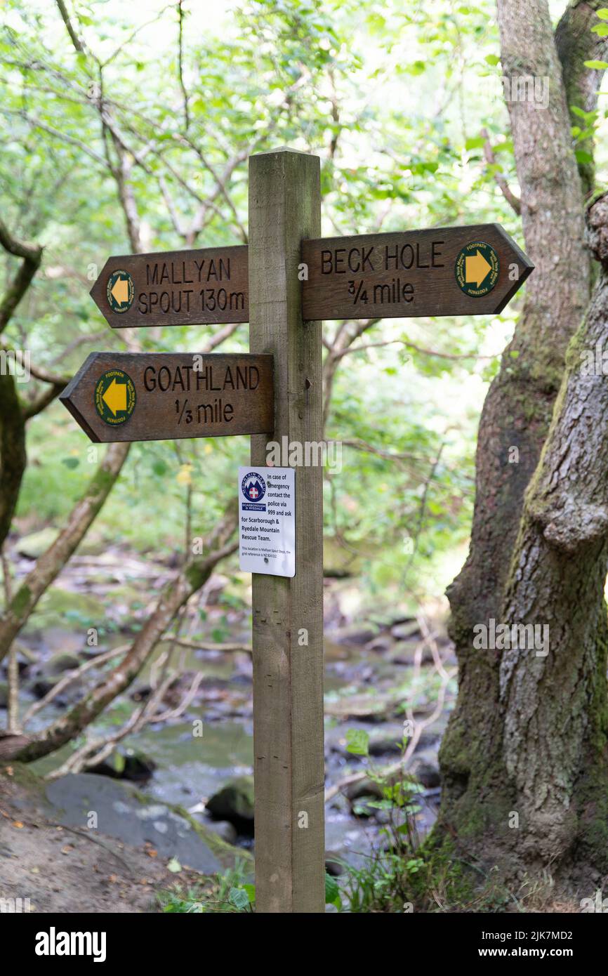 Panneau de signalisation en bois de la campagne du Yorkshire indiquant les directions vers les destinations locales Banque D'Images