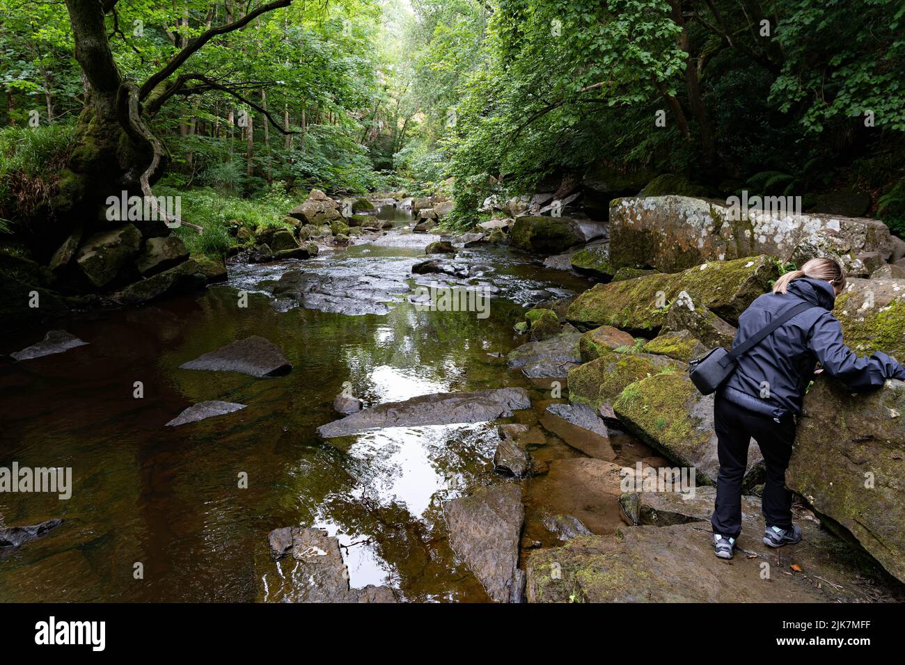 Photographe capturant un ruisseau forestier pittoresque avec des rochers couverts de mousse dans les Yorkshire dales Banque D'Images