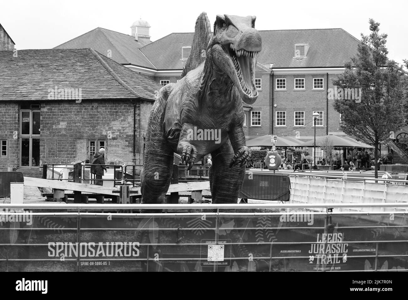 Leeds Jurassic Trail Banque D'Images