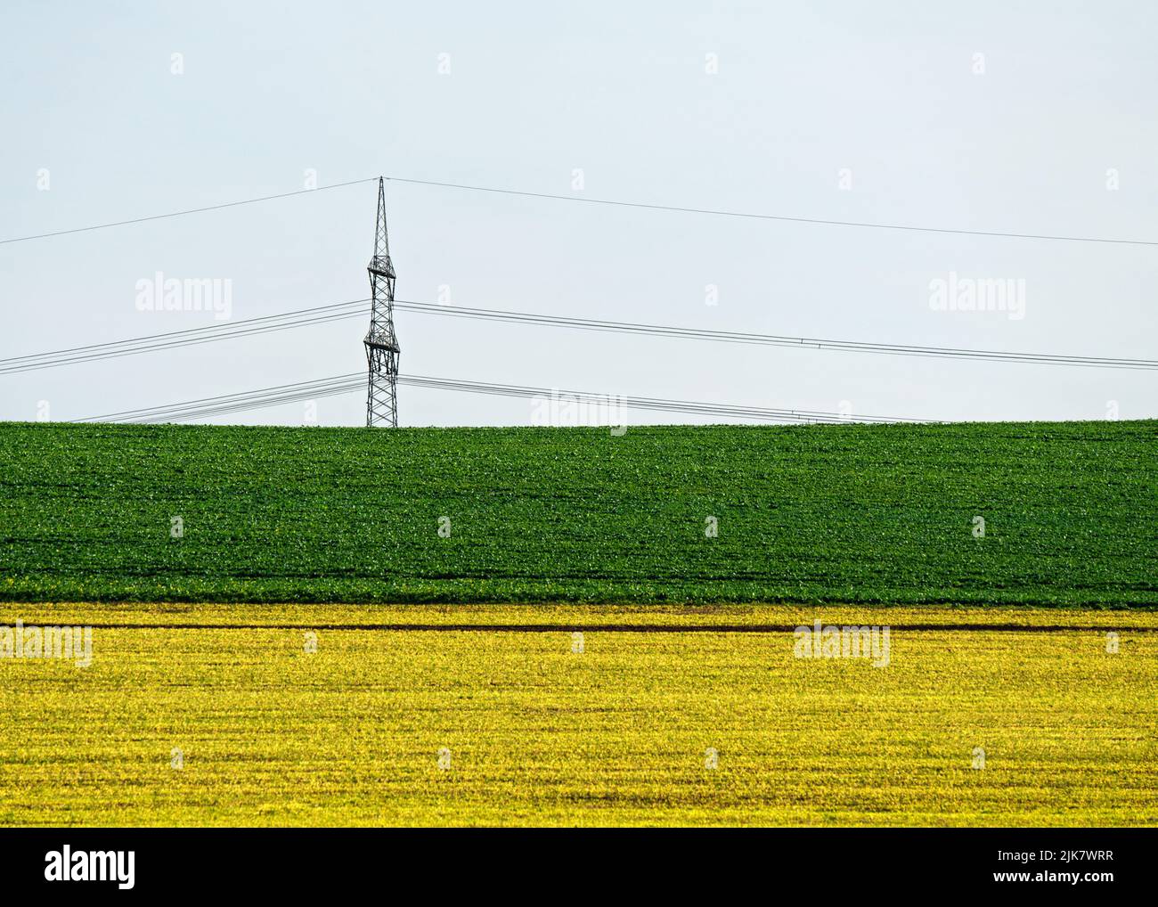 Un champ sur une colline en automne, une bande de plantation jaune vif est suivie d'une zone verte, à l'arrière-plan un grand pôle de puissance d'un lin de puissance aérienne Banque D'Images