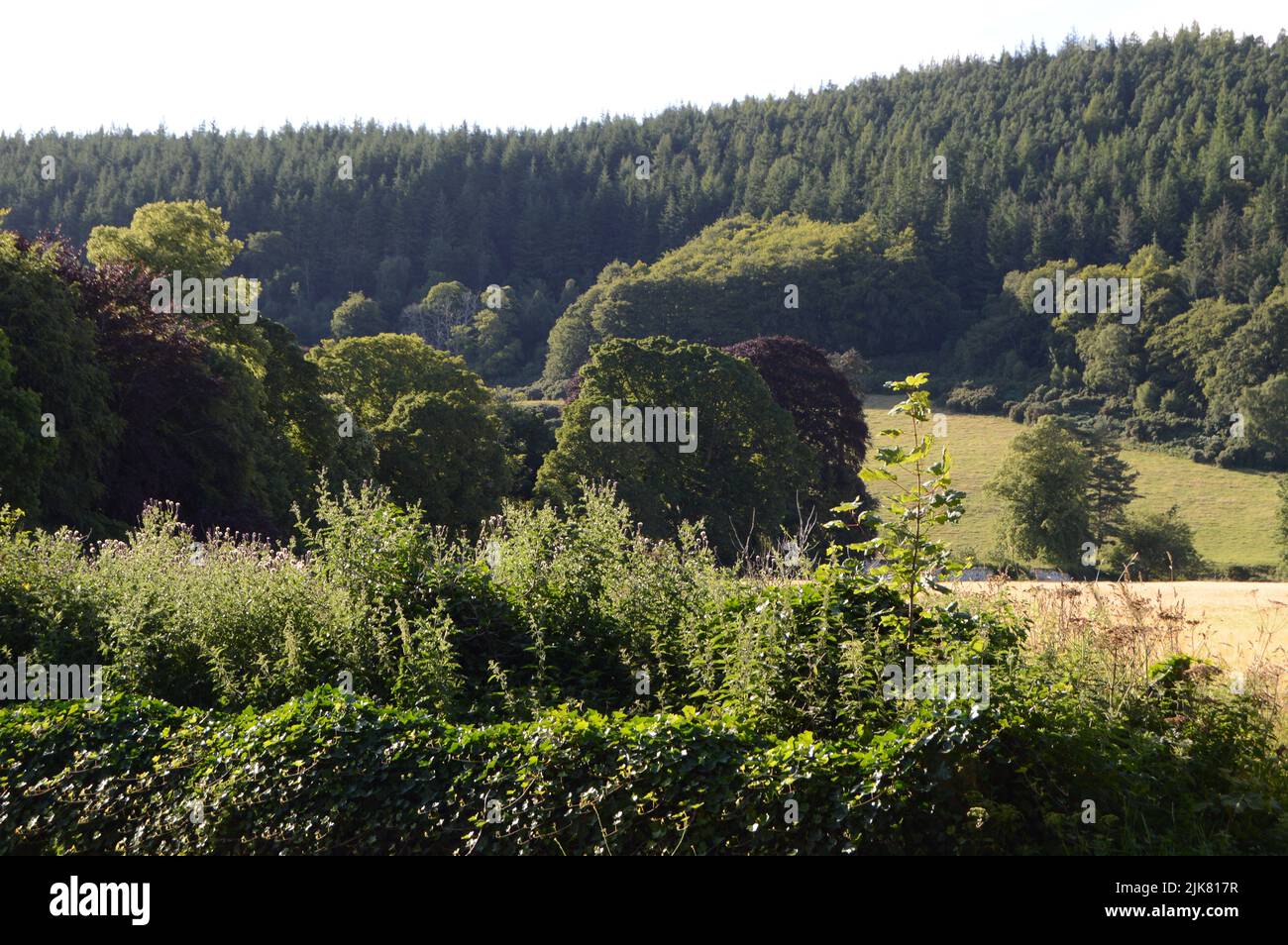 Le cadre rural paisible du monastère bénédictin médiéval de Pluscarden, Elgin, Moray, Écosse Banque D'Images