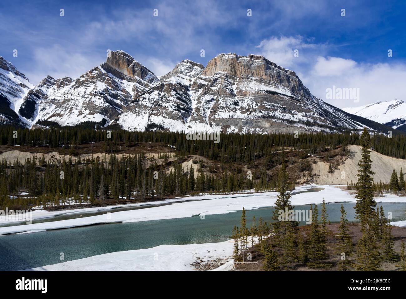 Vue sur la montagne près du Saskatchewan River Crossing, Icefields Parkway, parc national Banff, Alberta, Canada. Banque D'Images