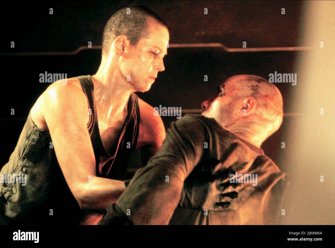 Sigourney Weaver film Alien 3 (USA 1992) réalisateur : David Fincher 22 mai 1992 **AVERTISSEMENT** cette photographie est réservée à un usage éditorial et est protégée par les droits d'auteur de 20TH CENTURY FOX et/ou du photographe désigné par le film ou la société de production et ne peut être reproduite que par des publications en liaison avec la promotion du film ci-dessus. Un crédit obligatoire pour 20TH CENTURY FOX est requis. Le photographe doit également être crédité lorsqu'il est connu. Aucune utilisation commerciale ne peut être accordée sans autorisation écrite de The film Company. Banque D'Images