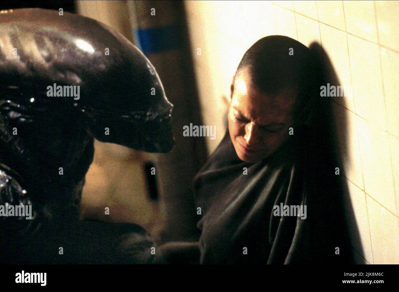 Sigourney Weaver film Alien 3 (USA 1992) réalisateur : David Fincher 22 mai 1992 **AVERTISSEMENT** cette photographie est réservée à un usage éditorial et est protégée par les droits d'auteur de 20TH CENTURY FOX et/ou du photographe désigné par le film ou la société de production et ne peut être reproduite que par des publications en liaison avec la promotion du film ci-dessus. Un crédit obligatoire pour 20TH CENTURY FOX est requis. Le photographe doit également être crédité lorsqu'il est connu. Aucune utilisation commerciale ne peut être accordée sans autorisation écrite de The film Company. Banque D'Images