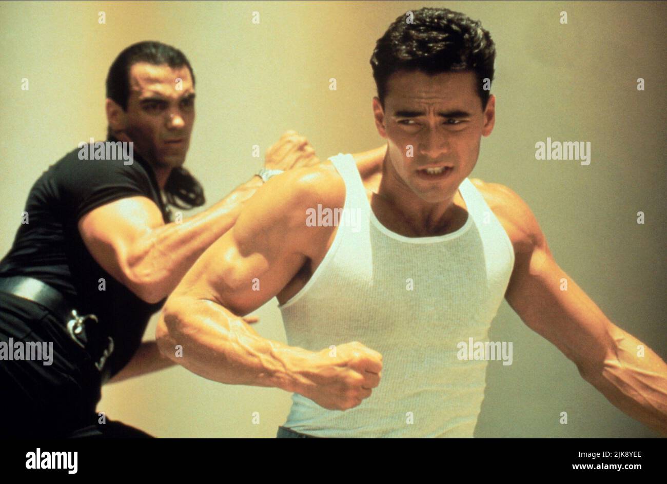 Mark Dacascos film Only The Strong (1992) personnages : Louis Stevens réalisateur : Sheldon Lettich 27 août 1993 **AVERTISSEMENT** cette photographie est réservée à un usage éditorial et est la propriété de FREESTONE et/ou du photographe désigné par le film ou la société de production et ne peut être reproduite que par des publications dans le cadre de la promotion du film ci-dessus. Un crédit obligatoire pour FREESTONE est requis. Le photographe doit également être crédité lorsqu'il est connu. Aucune utilisation commerciale ne peut être accordée sans autorisation écrite de The film Company. Banque D'Images