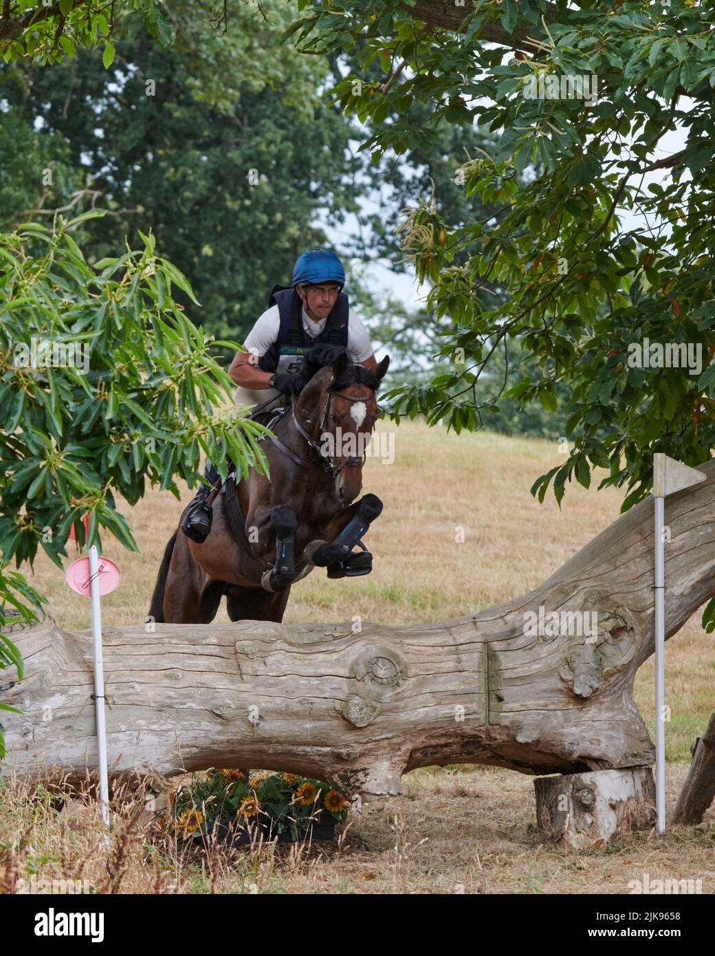 East Budleigh Salterton, Royaume-Uni, 31 juillet 2022, Jon Roome fait le tour de RSH Stella lors de la section Cross-Country aux essais de Bicton Horse. Crédit : nouvelles en direct de will Tudor/Alamy Banque D'Images