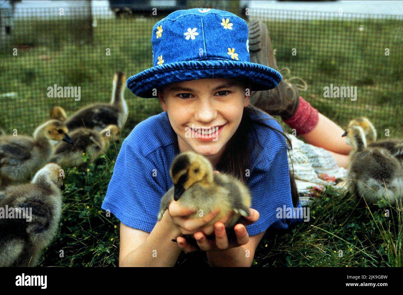 Anna Paquin & Geese film: Fly Away Home (1996) personnages: Amy Alden & Director: Carroll Ballard 05 septembre 1996 **AVERTISSEMENT** cette photographie est à usage éditorial exclusif et est le droit d'auteur de COLUMBIA et/ou le photographe assigné par la Société du film ou de la production et ne peut être reproduite que par des publications dans le cadre de la promotion du film ci-dessus. Un crédit obligatoire pour LA COLOMBIE est requis. Le photographe doit également être crédité lorsqu'il est connu. Aucune utilisation commerciale ne peut être accordée sans l'autorisation écrite de la Société du film. Banque D'Images