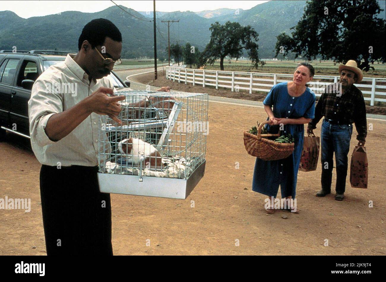 Eddie Murphy film Doctor Dolittle (USA 1998) personnages : Dr John Dolittle & réalisateur : Betty Thomas 13 juin 1998 **AVERTISSEMENT** cette photographie est à usage éditorial exclusif et est la propriété de 20TH CENTURY FOX et/ou du photographe désigné par la société de production et ne peut être reproduite que par des publications en liaison avec la promotion du film ci-dessus. Un crédit obligatoire pour 20TH CENTURY FOX est requis. Le photographe doit également être crédité lorsqu'il est connu. Aucune utilisation commerciale ne peut être accordée sans autorisation écrite de The film Company. Banque D'Images