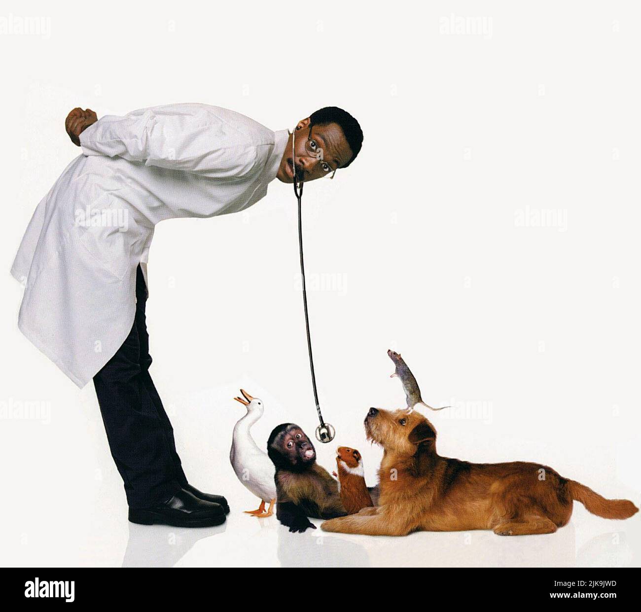 Eddie Murphy film Doctor Dolittle (USA 1998) personnages : Dr John Dolittle réalisateur : Betty Thomas 13 juin 1998 **AVERTISSEMENT** cette photographie est à usage éditorial exclusif et est la propriété de 20TH CENTURY FOX et/ou du photographe désigné par la société de production et ne peut être reproduite que par des publications en liaison avec la promotion du film ci-dessus. Un crédit obligatoire pour 20TH CENTURY FOX est requis. Le photographe doit également être crédité lorsqu'il est connu. Aucune utilisation commerciale ne peut être accordée sans autorisation écrite de The film Company. Banque D'Images