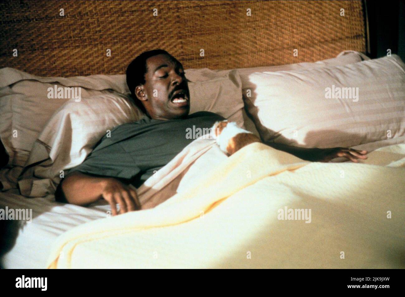 Eddie Murphy film Doctor Dolittle (USA 1998) personnages : Dr John Dolittle & réalisateur : Betty Thomas 13 juin 1998 **AVERTISSEMENT** cette photographie est à usage éditorial exclusif et est la propriété de 20TH CENTURY FOX et/ou du photographe désigné par la société de production et ne peut être reproduite que par des publications en liaison avec la promotion du film ci-dessus. Un crédit obligatoire pour 20TH CENTURY FOX est requis. Le photographe doit également être crédité lorsqu'il est connu. Aucune utilisation commerciale ne peut être accordée sans autorisation écrite de The film Company. Banque D'Images