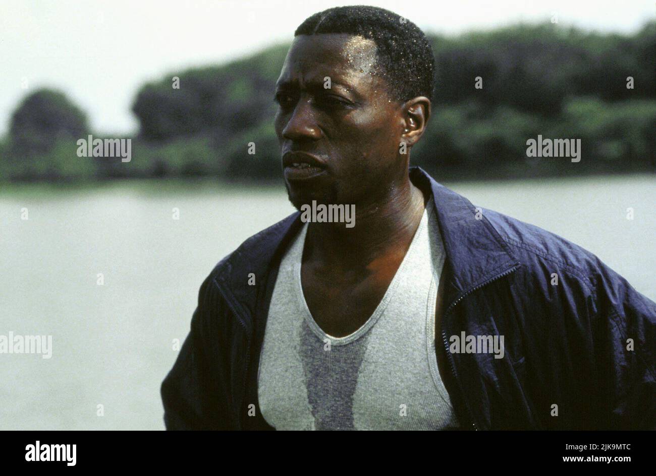 Wesley Snipes film Murder at 1600 (1997) personnages : Dét. Harlan Regis réalisateur : Dwight H. Little 18 avril 1997 **AVERTISSEMENT** cette photographie est à usage éditorial seulement et est la propriété de WARNER BROS et/ou du photographe désigné par The film or production Company et ne peut être reproduite que par des publications en conjonction avec la promotion du film ci-dessus. Un crédit obligatoire à WARNER BROS est requis. Le photographe doit également être crédité lorsqu'il est connu. Aucune utilisation commerciale ne peut être accordée sans autorisation écrite de The film Company. Banque D'Images
