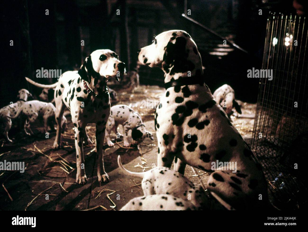 101 dalmatians disney Banque de photographies et d’images à haute