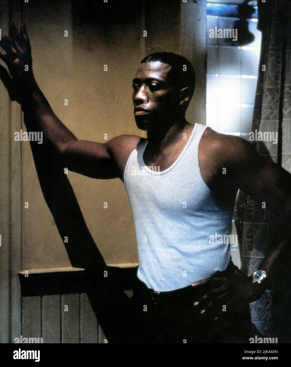 Wesley Snipes film Murder at 1600 (1997) personnages : Dét. Harlan Regis réalisateur : Dwight H. Little 18 avril 1997 **AVERTISSEMENT** cette photographie est à usage éditorial seulement et est la propriété de WARNER BROS et/ou du photographe désigné par The film or production Company et ne peut être reproduite que par des publications en conjonction avec la promotion du film ci-dessus. Un crédit obligatoire à WARNER BROS est requis. Le photographe doit également être crédité lorsqu'il est connu. Aucune utilisation commerciale ne peut être accordée sans autorisation écrite de The film Company. Banque D'Images