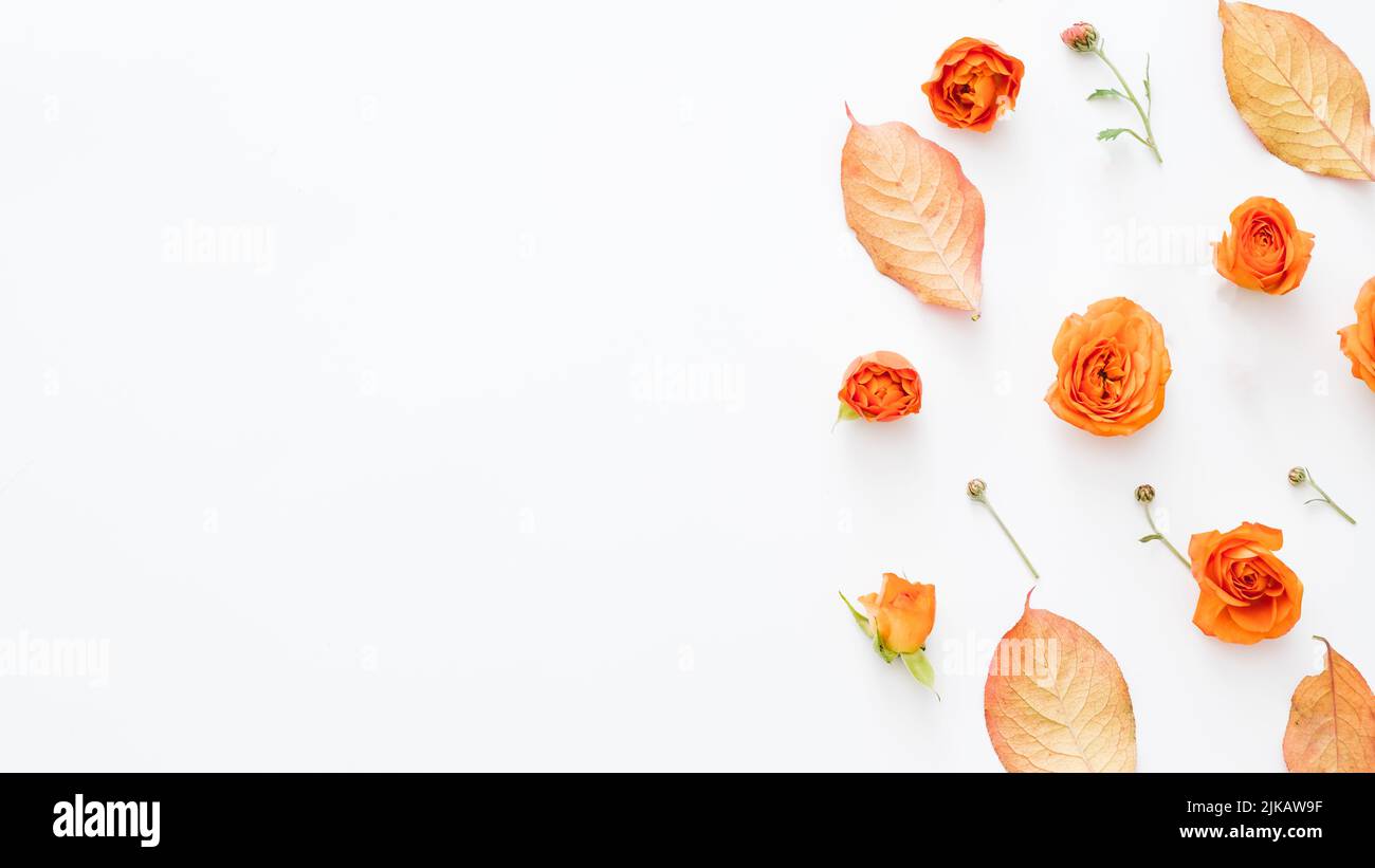 automne nature thème fond feuilles rose bourgeons Banque D'Images