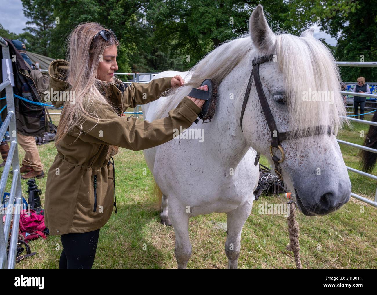 GWCT Scottish Game Fair 2022 à Scone Palace, Perthshire. Concours de poney Fred Taylor Memorial Hill Banque D'Images