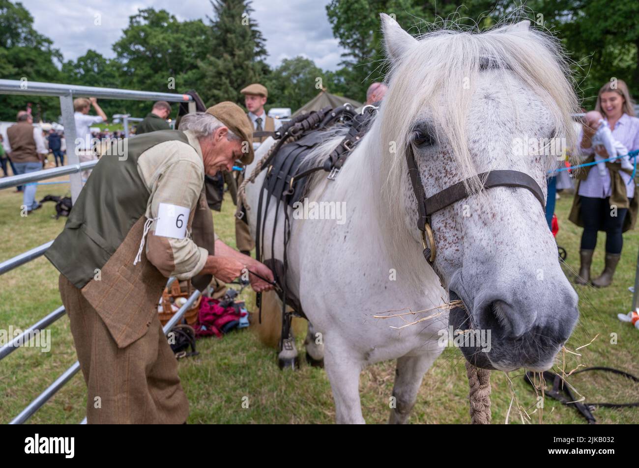 GWCT Scottish Game Fair 2022 à Scone Palace, Perthshire. Concours de poney Fred Taylor Memorial Hill Banque D'Images