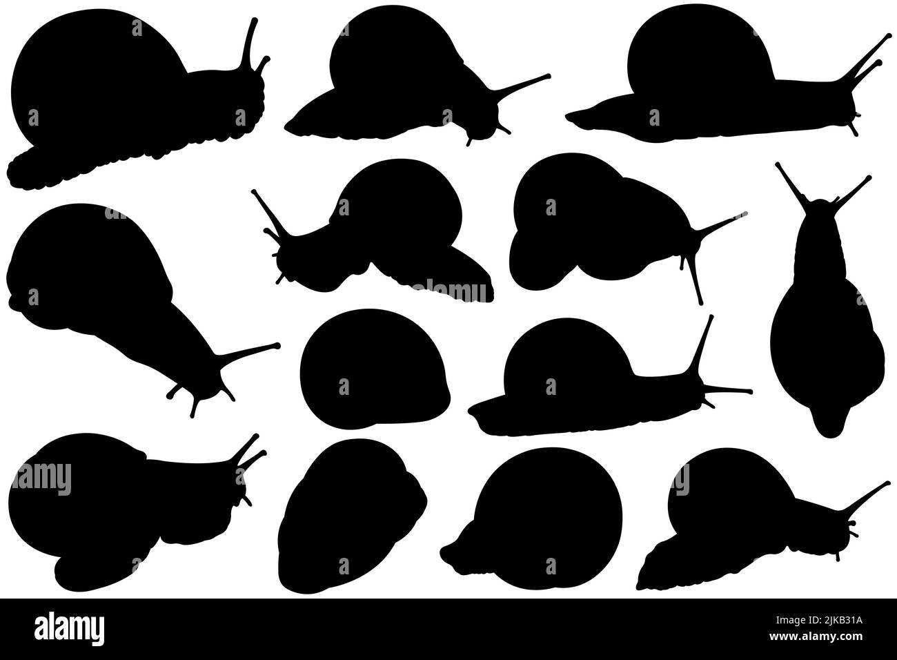 Illustration de différentes silhouettes d'escargot isolées sur blanc Banque D'Images