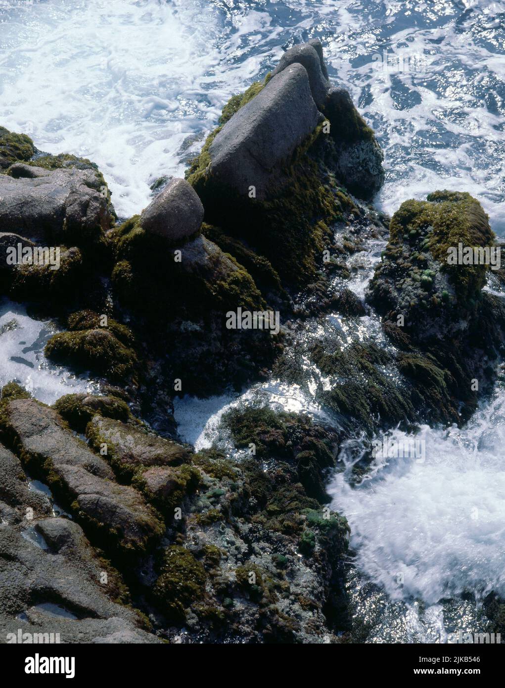 OLAS ROMPIENDO EN LAS ROCAS EN LA COSTA BRAVA. Emplacement : EXTÉRIEUR. Aiguablava. GERONA. ESPAGNE. Banque D'Images