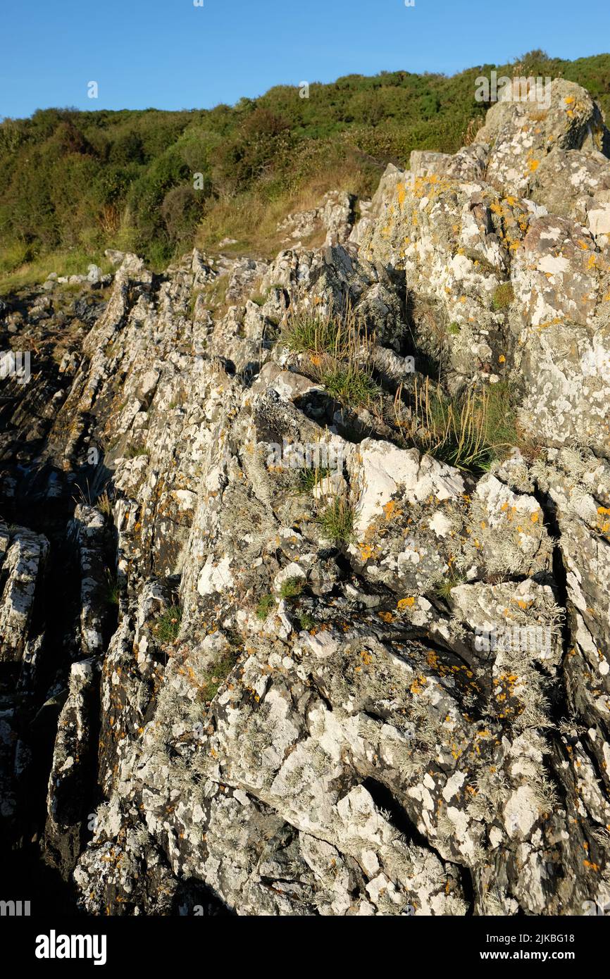 Carrick Shore le long de Fleet Bay près de Gatehouse of Fleet à Dumfries et Galloway en Écosse - formations rocheuses avec lichen été 2022 Banque D'Images