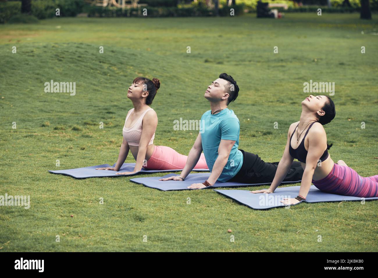 Groupe de jeunes Asiatiques qui pratiquent le yoga dans le parc Banque D'Images